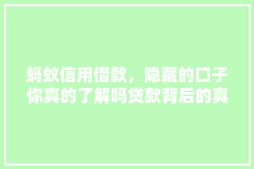 蚂蚁信用借款，隐藏的口子你真的了解吗贷款背后的真相