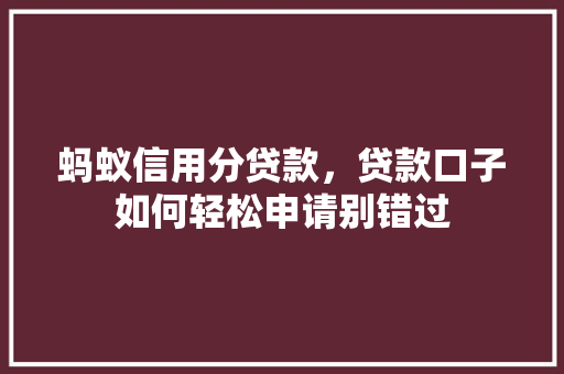 蚂蚁信用分贷款，贷款口子如何轻松申请别错过