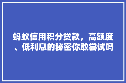 蚂蚁信用积分贷款，高额度、低利息的秘密你敢尝试吗  第1张