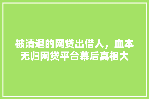 被清退的网贷出借人，血本无归网贷平台幕后真相大