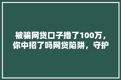被骗网贷口子撸了100万，你中招了吗网贷陷阱，守护你的财产安全