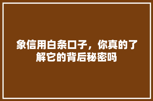 象信用白条口子，你真的了解它的背后秘密吗  第1张