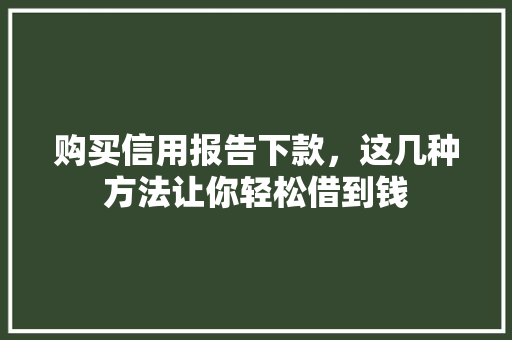 购买信用报告下款，这几种方法让你轻松借到钱