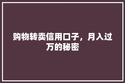 购物转卖信用口子，月入过万的秘密  第1张