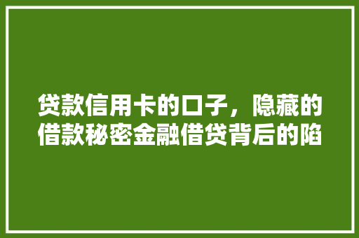 贷款信用卡的口子，隐藏的借款秘密金融借贷背后的陷阱  第1张