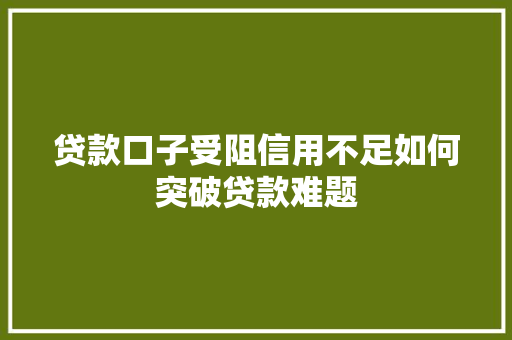 贷款口子受阻信用不足如何突破贷款难题  第1张