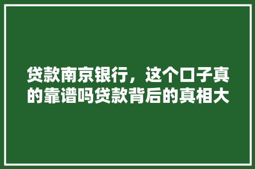 贷款南京银行，这个口子真的靠谱吗贷款背后的真相大