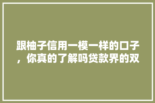 跟柚子信用一模一样的口子，你真的了解吗贷款界的双胞胎  第1张