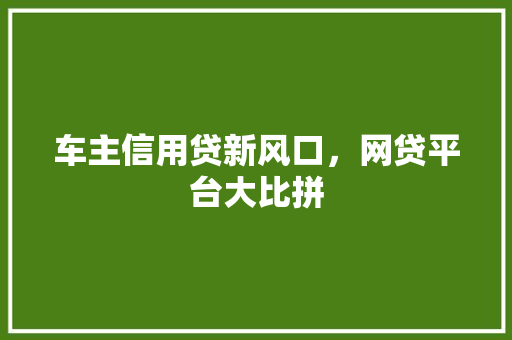 车主信用贷新风口，网贷平台大比拼