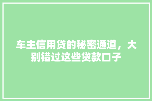 车主信用贷的秘密通道，大别错过这些贷款口子
