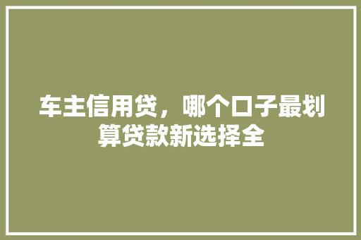 车主信用贷，哪个口子最划算贷款新选择全