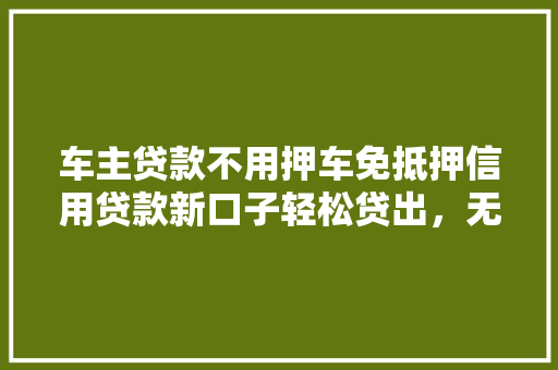 车主贷款不用押车免抵押信用贷款新口子轻松贷出，无押无忧