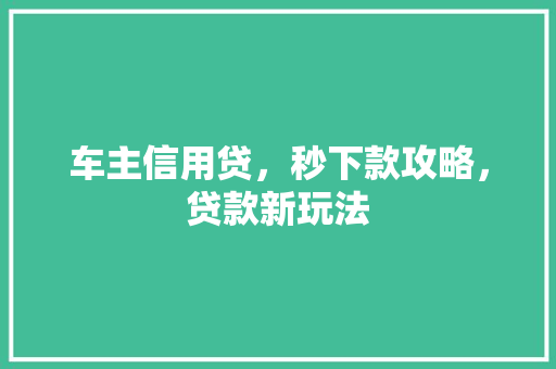 车主信用贷，秒下款攻略，贷款新玩法  第1张