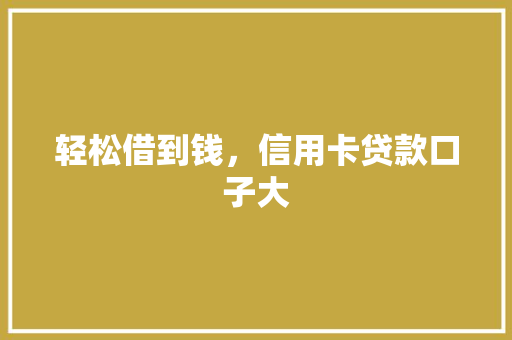 轻松借到钱，信用卡贷款口子大