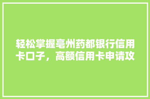 轻松掌握亳州药都银行信用卡口子，高额信用卡申请攻略