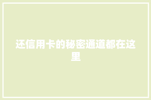 还信用卡的秘密通道都在这里