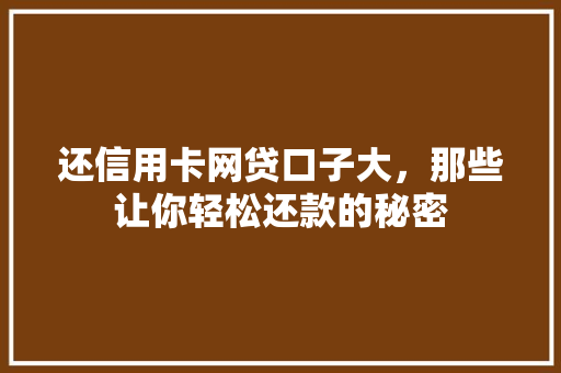 还信用卡网贷口子大，那些让你轻松还款的秘密