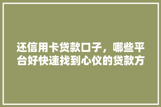 还信用卡贷款口子，哪些平台好快速找到心仪的贷款方法