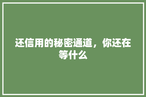 还信用的秘密通道，你还在等什么