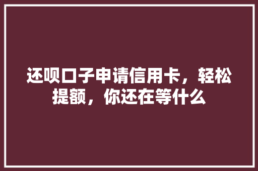 还呗口子申请信用卡，轻松提额，你还在等什么
