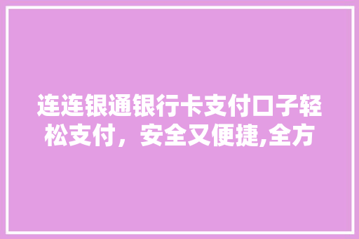 连连银通银行卡支付口子轻松支付，安全又便捷,全方位连连支付的魅力