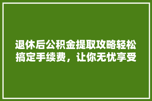 退休后公积金提取攻略轻松搞定手续费，让你无忧享受晚年生活