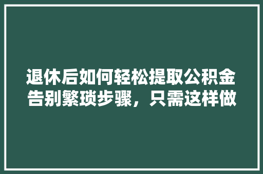 退休后如何轻松提取公积金告别繁琐步骤，只需这样做