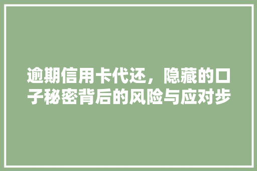 逾期信用卡代还，隐藏的口子秘密背后的风险与应对步骤