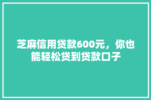 芝麻信用贷款600元，你也能轻松贷到贷款口子