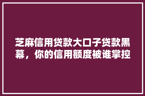 芝麻信用贷款大口子贷款黑幕，你的信用额度被谁掌控信用贷款背后的真相