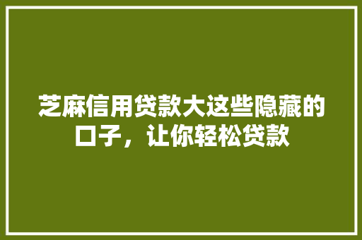 芝麻信用贷款大这些隐藏的口子，让你轻松贷款
