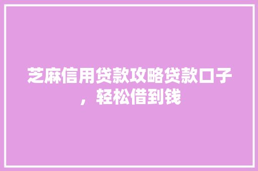 芝麻信用贷款攻略贷款口子，轻松借到钱