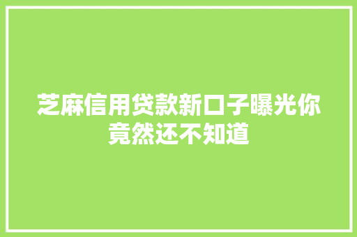芝麻信用贷款新口子曝光你竟然还不知道