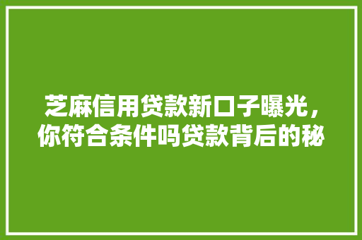 芝麻信用贷款新口子曝光，你符合条件吗贷款背后的秘密