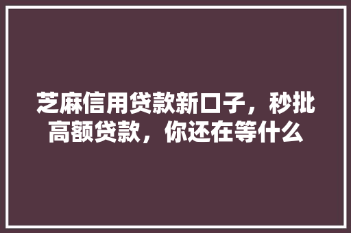 芝麻信用贷款新口子，秒批高额贷款，你还在等什么