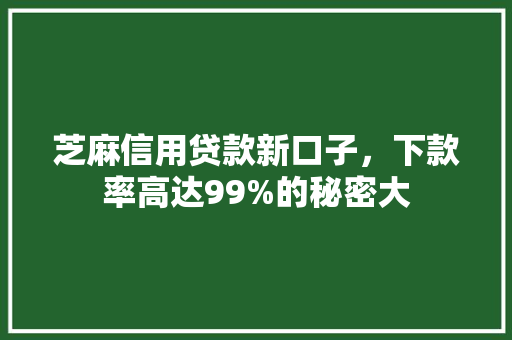 芝麻信用贷款新口子，下款率高达99%的秘密大