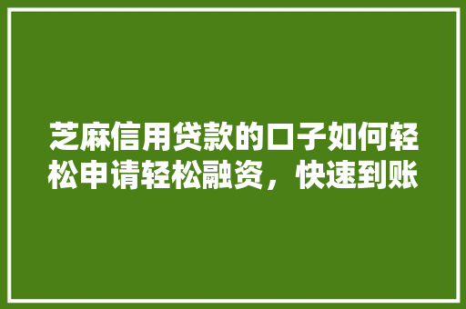 芝麻信用贷款的口子如何轻松申请轻松融资，快速到账