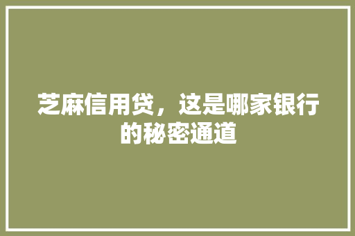 芝麻信用贷，这是哪家银行的秘密通道
