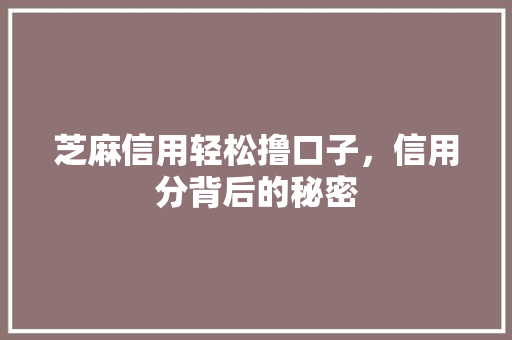 芝麻信用轻松撸口子，信用分背后的秘密