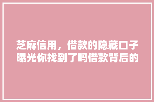 芝麻信用，借款的隐藏口子曝光你找到了吗借款背后的秘密