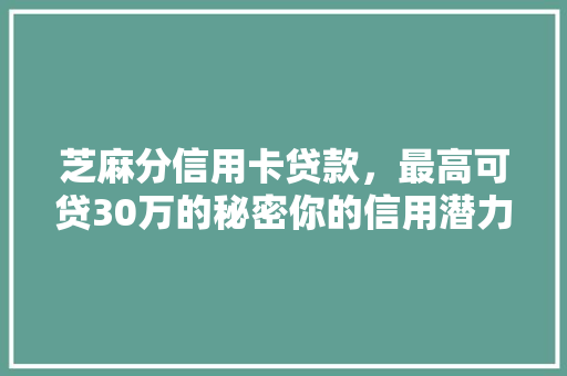 芝麻分信用卡贷款，最高可贷30万的秘密你的信用潜力