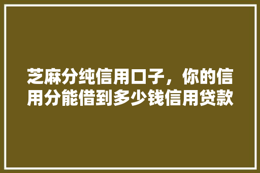 芝麻分纯信用口子，你的信用分能借到多少钱信用贷款的秘密