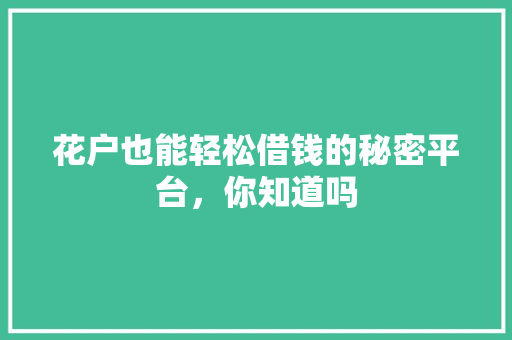 花户也能轻松借钱的秘密平台，你知道吗