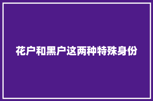 花户和黑户这两种特殊身份