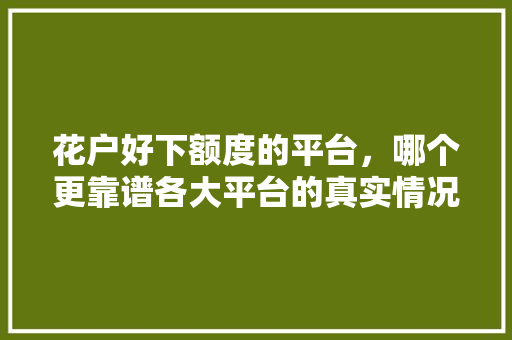 花户好下额度的平台，哪个更靠谱各大平台的真实情况  第1张