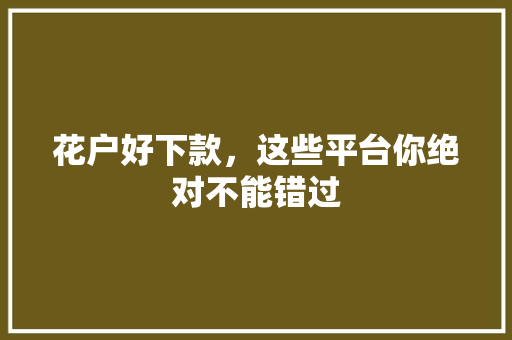 花户好下款，这些平台你绝对不能错过  第1张