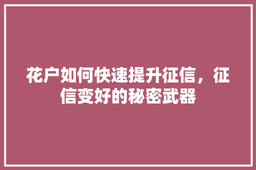 花户如何快速提升征信，征信变好的秘密武器