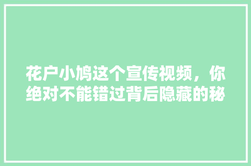 花户小鸠这个宣传视频，你绝对不能错过背后隐藏的秘密