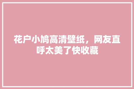 花户小鸠高清壁纸，网友直呼太美了快收藏