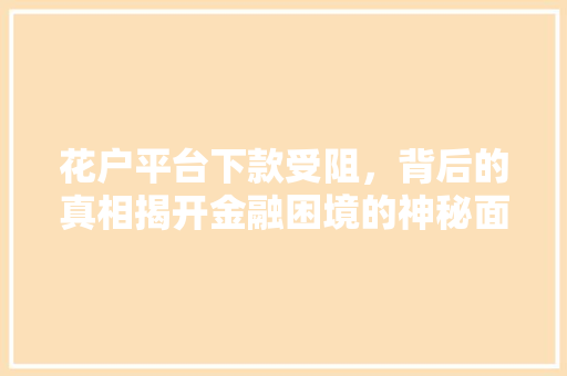 花户平台下款受阻，背后的真相揭开金融困境的神秘面纱